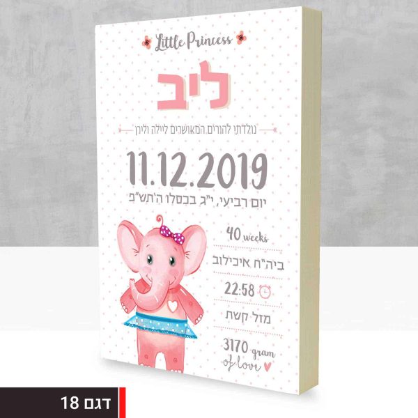 ⁦תעודת לידה במגוון עיצובים יחודיים לבחירה על בלוק 20x30⁩ – תמונה ⁦19⁩